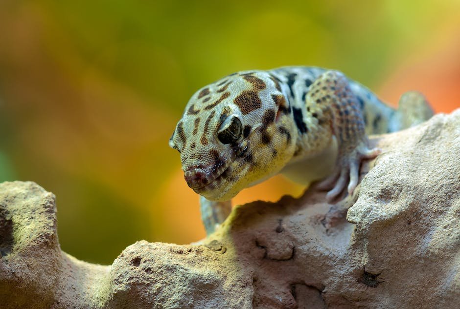 Vivid close-up of a leopard gecko on rocks, showcasing its intricate skin patterns.