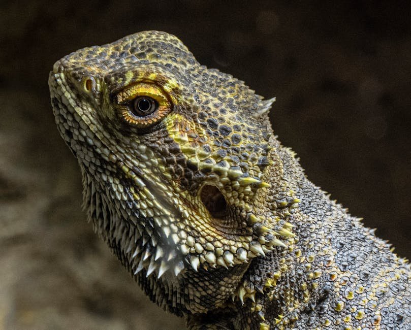 Close-up photo showcasing the intricate scales of a bearded dragon in natural lighting.