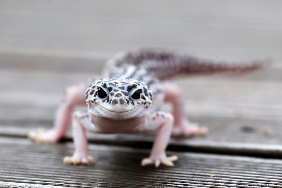 Detailed image of a spotted leopard gecko on a wooden surface, showcasing its unique patterns.
